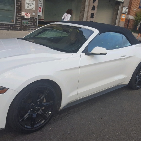 Meet your Posher, Irene - Picture 1 of 1